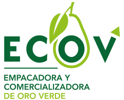 Ecov Logo